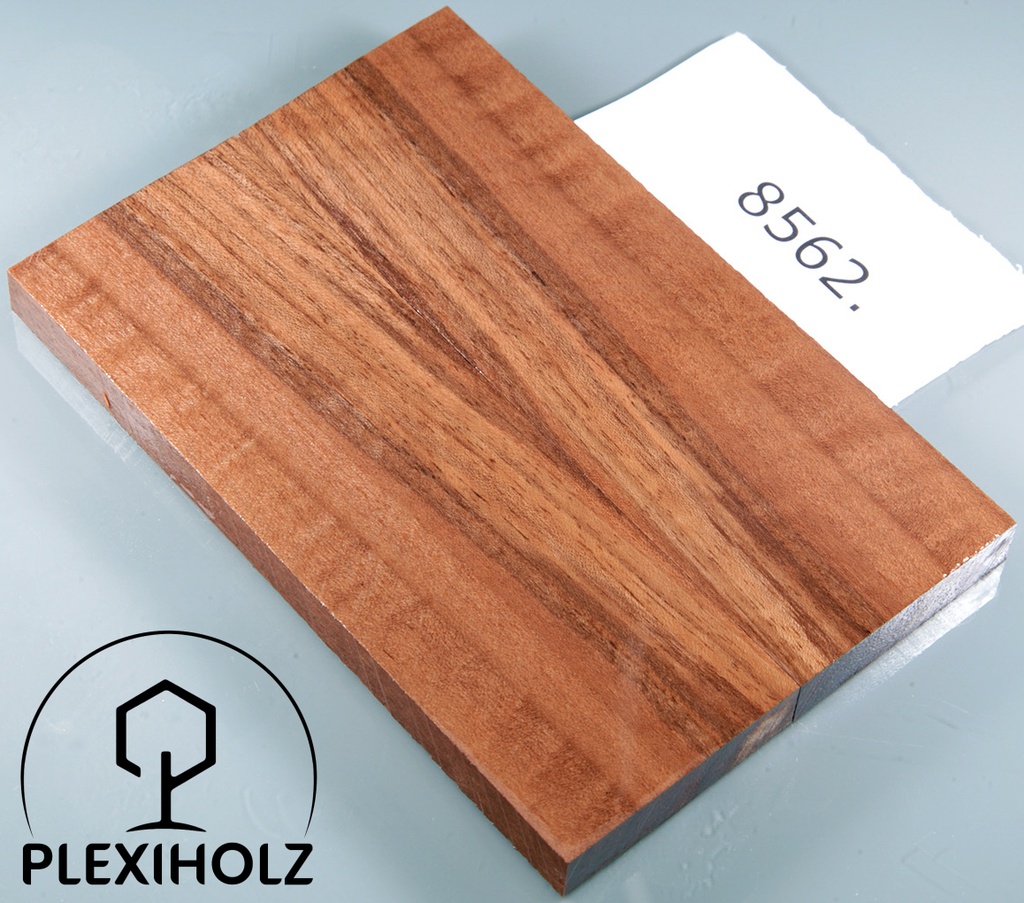 Walnuss Griffschalen stabilisiert | 120x40x8 | plexiholz | 8540