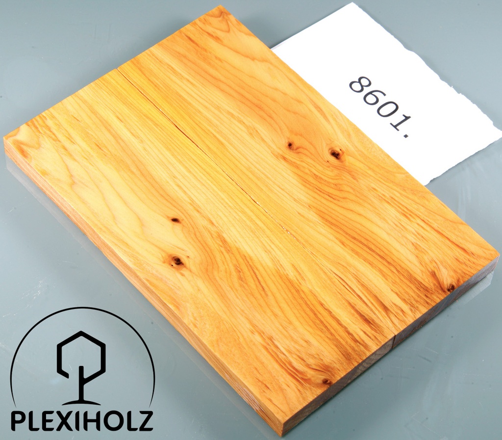 Walnuss Griffschalen stabilisiert | 120x40x8 | plexiholz | 8540